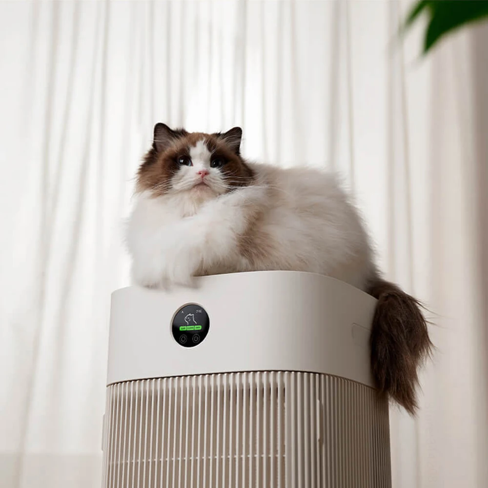 Gatos cabelo absorvem rapidame - Smart Air Purifier avaliação e preço